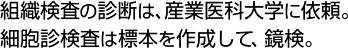 組織検査の診断は、産業医科大学に依頼。細胞診検査は標本を作成して、鏡検。